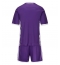 Fotbollsset Barn Fiorentina Hemmatröja 2025-26 Mini-Kit Kortärmad (+ korta byxor)